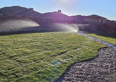 Professional Landscaping Contractor in Alamogordo, NM