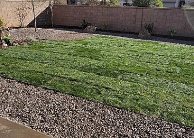 Reliable Small Backyard Landscaping in Alamogordo, NM