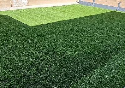 Trusted Grass Sod Installation in Alamogordo, NM